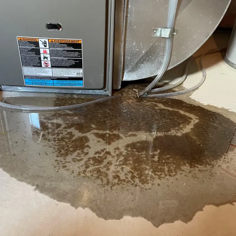 Appliance Leak Cleanup in Oak Park, CA